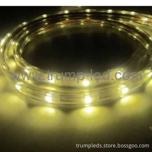 High quality waterproof 220 volt led strip lighting
